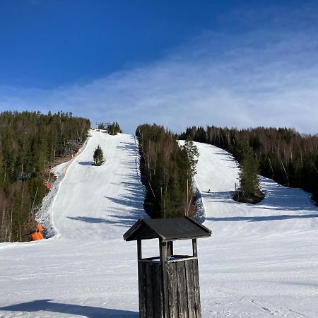 Raemsbyns Fritidsby, Naera Romme Alpin Apartman Idkerberget Kültér fotó